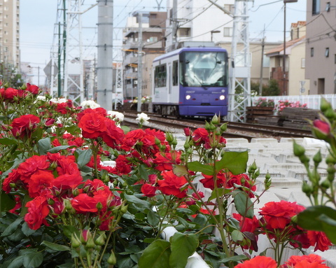 都電荒川線と