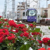 都電荒川線と