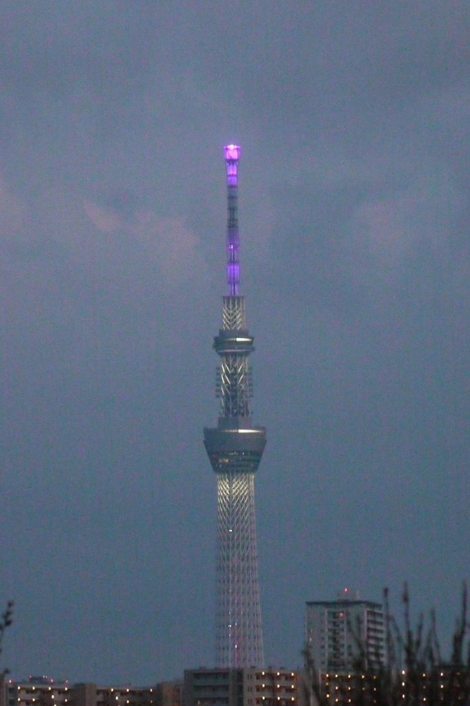 尾竹橋公園から薄い夕雲の東京スカイツリー