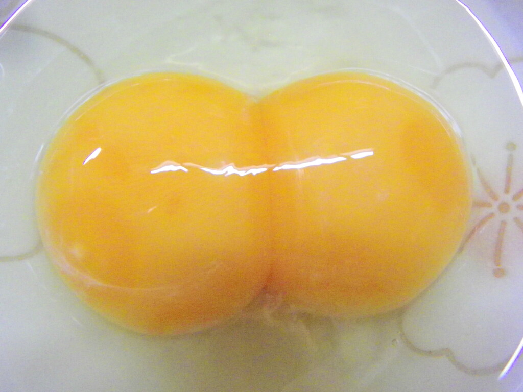 ふたごたまご