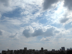 土手上の雲の風景