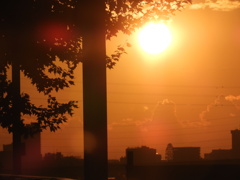 隅田川木陰の荒川遊園の観覧車の上の夕日