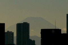 荒川土手から南西に見える富士山