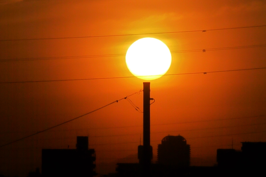 荒川土手のなぜだか丸電柱の夕日