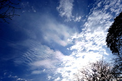 柳原千草園の池の上空の彩雲