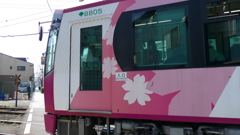 春の都電荒川線