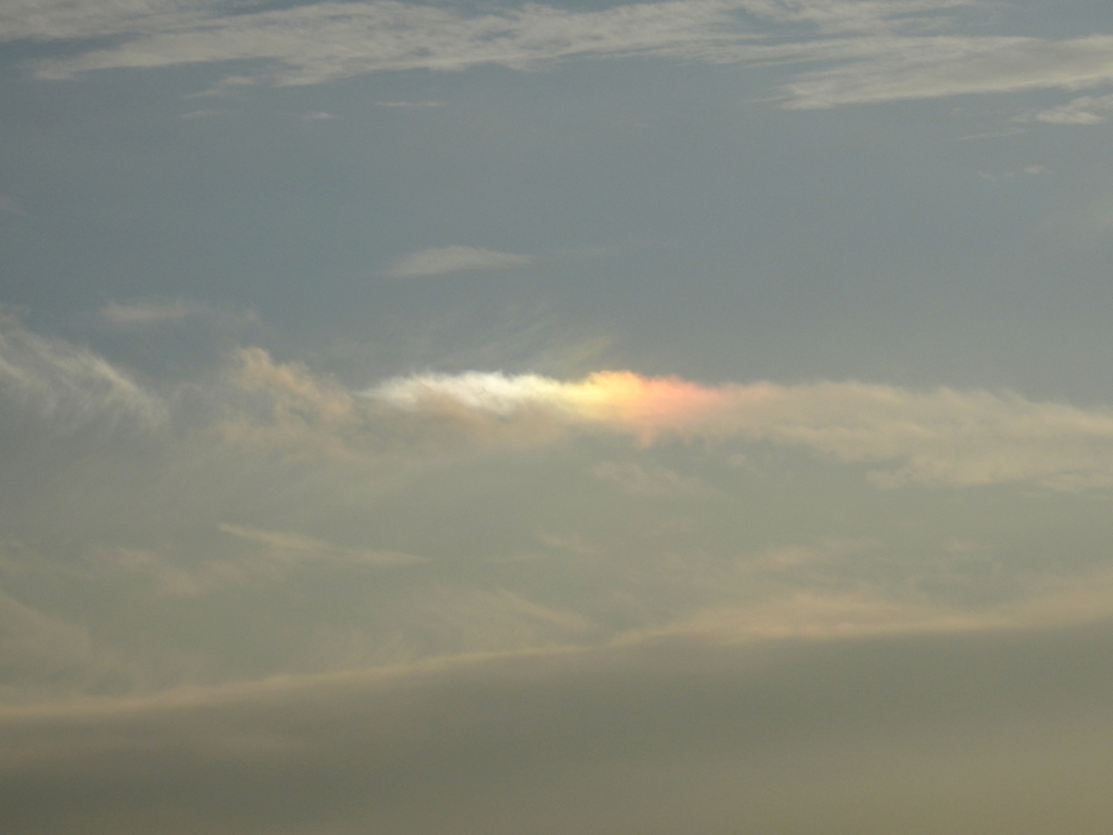 夕方の淡い彩雲