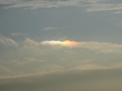 夕方の淡い彩雲