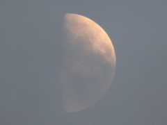 雲被る、上弦の月