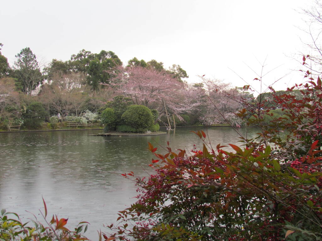 龍安寺のもう一つの庭園