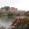 龍安寺のもう一つの庭園