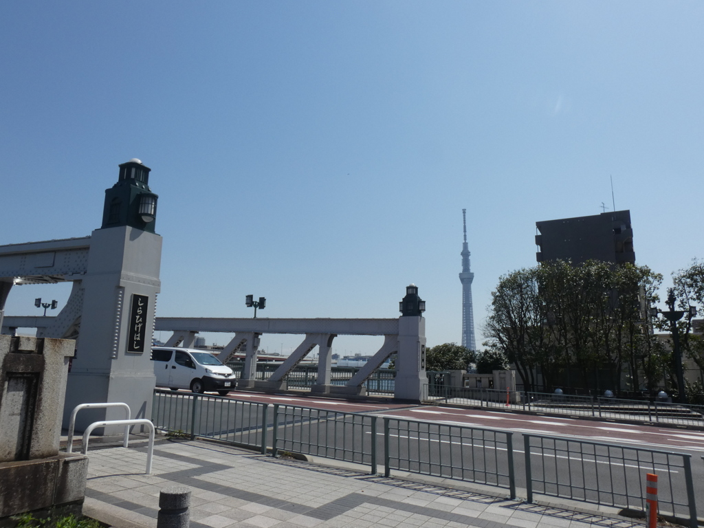 青空の隅田川白鬚橋の東京スカイツリー