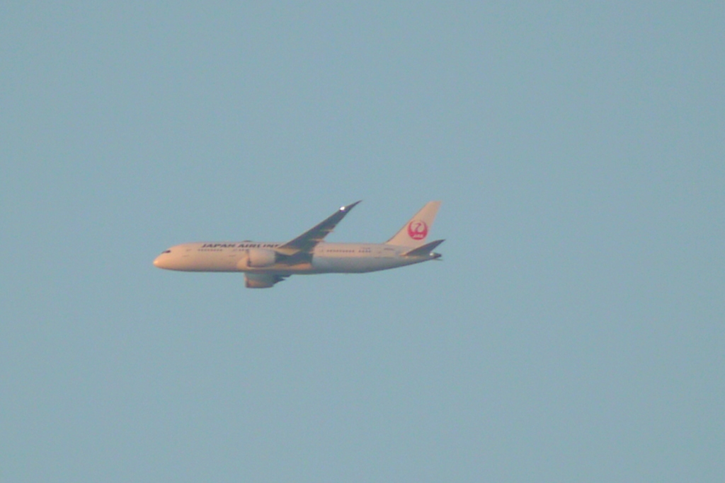 千住土手下中通りから土手上のJAL機