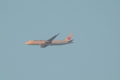 千住土手下中通りから土手上のJAL機