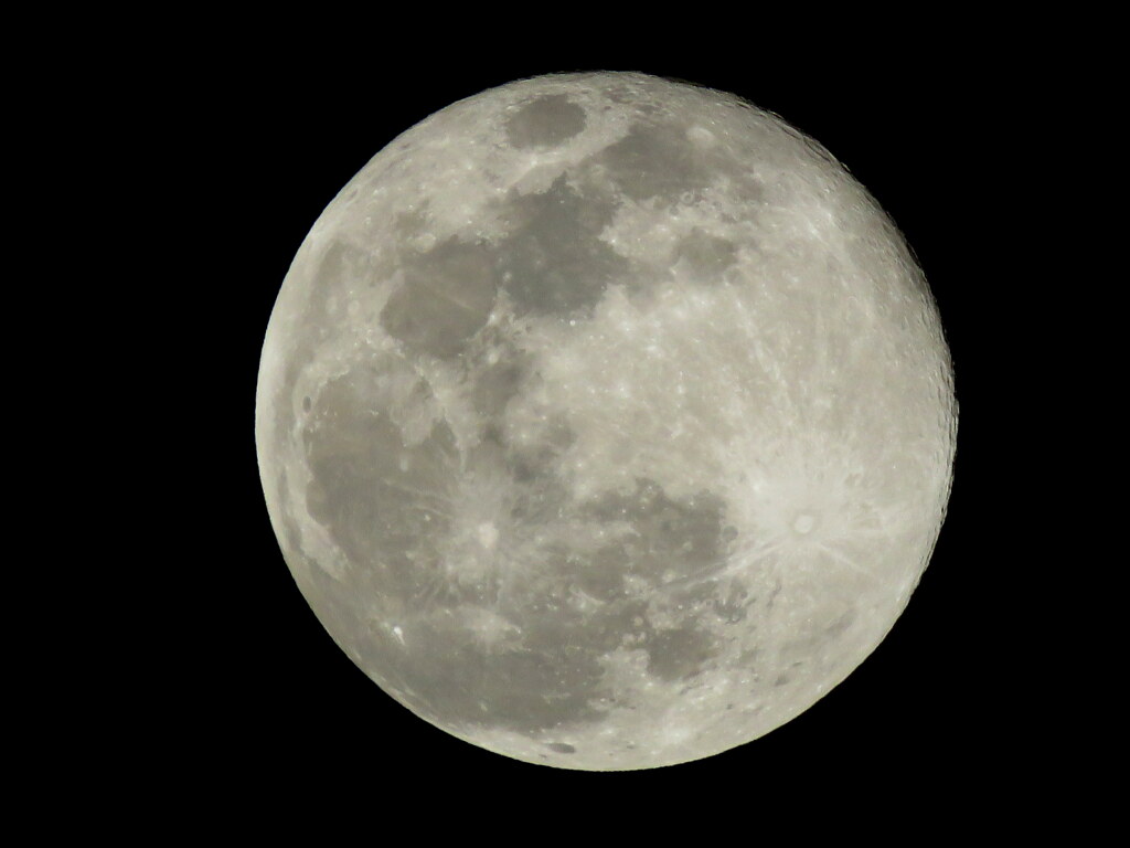 月齢15.2アフタースーパームーン・コールドムーン