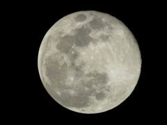 月齢15.2アフタースーパームーン・コールドムーン