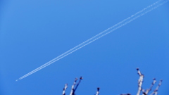 青空のストリーム