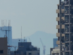 荒川土手から南西の建物の間の昼間の大山山頂