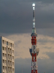 橋から見えるちょっと変わった東京スカイツリー