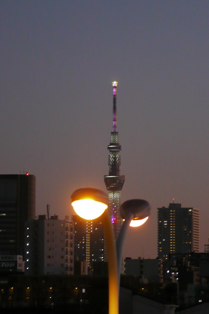 ’23元日荒川土手から街路灯とマッチングした東京スカイツリー