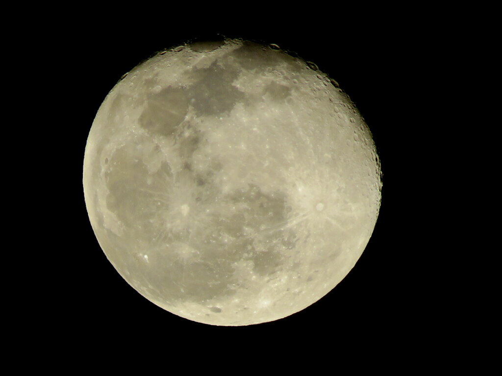 月月の月見る月は多けれど、月見る月はこの月の月かな