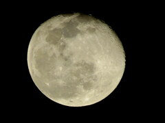 月月の月見る月は多けれど、月見る月はこの月の月かな