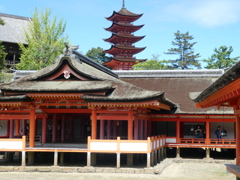 厳島神社の本殿から五重塔