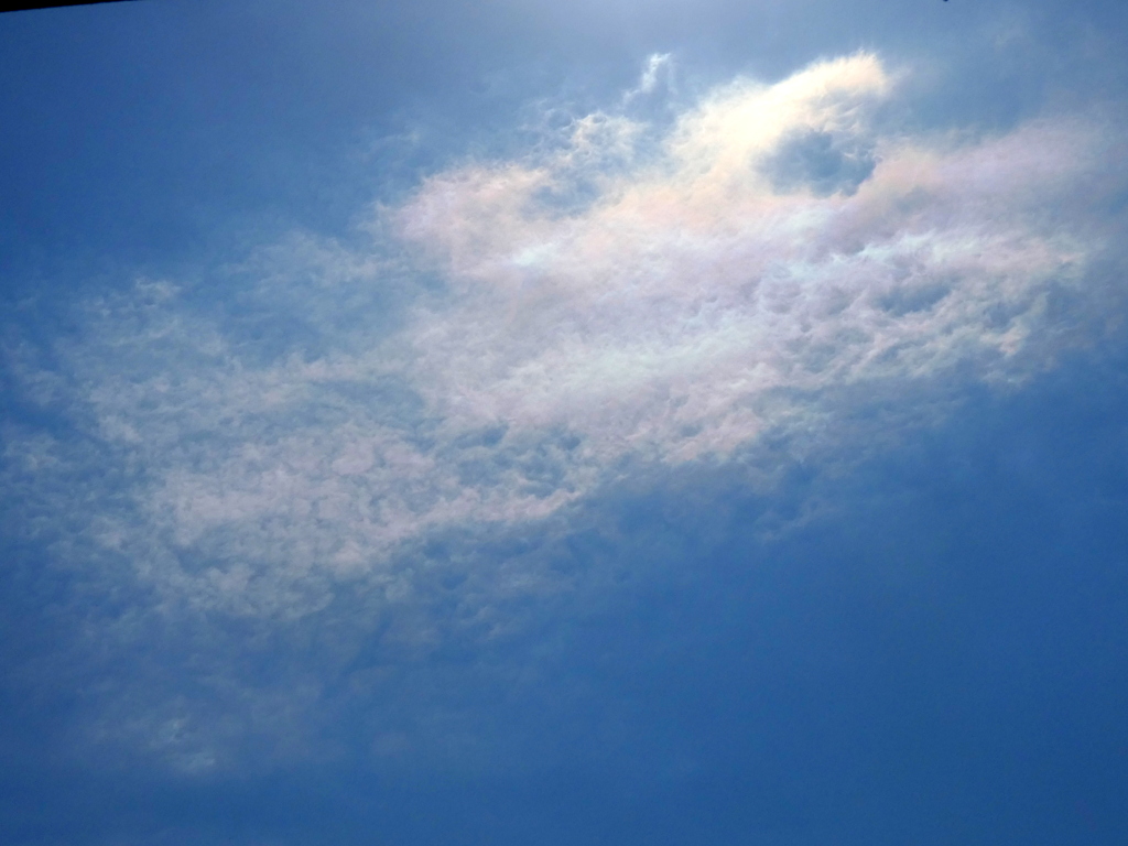 荒川土手の太陽の下の彩雲
