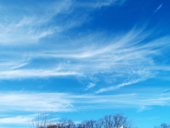 千住桜木2丁目公園の空