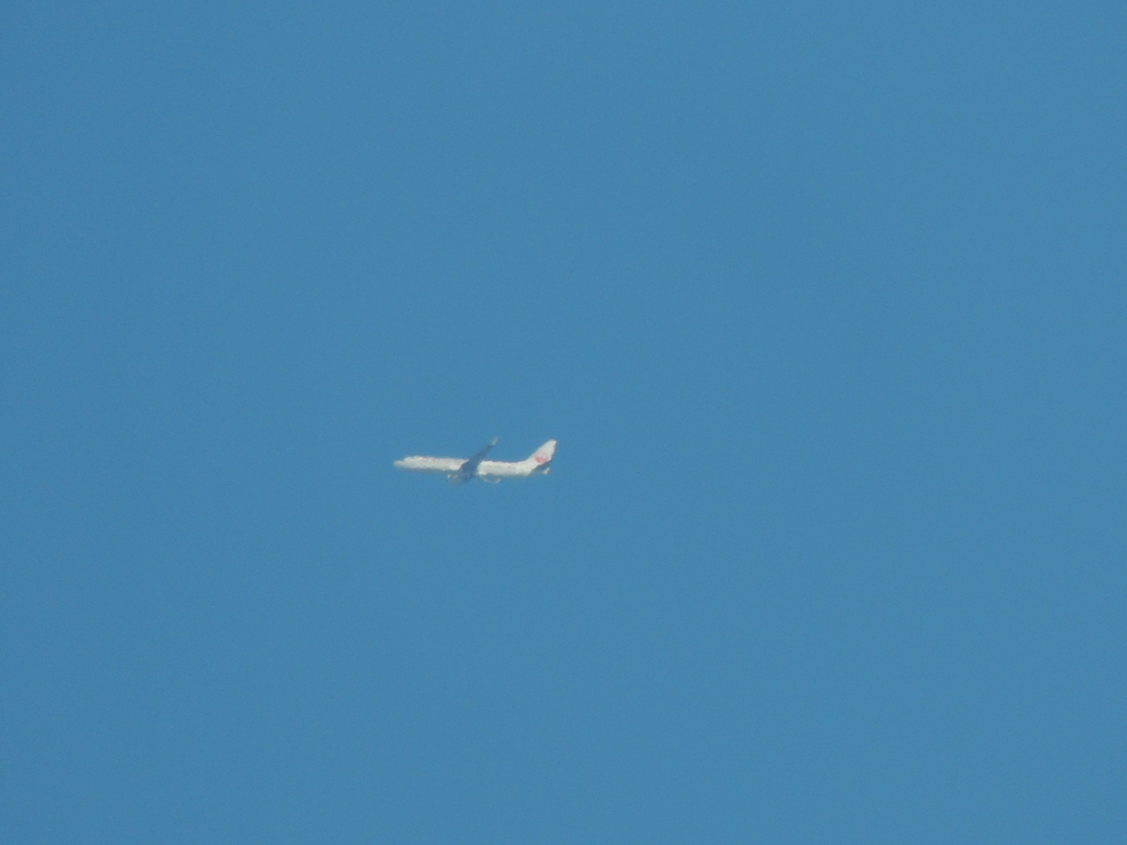 ’２３新春の青空のJAL機