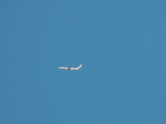 ’２３新春の青空のJAL機