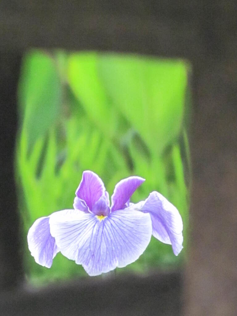 堀切菖蒲園の石灯籠