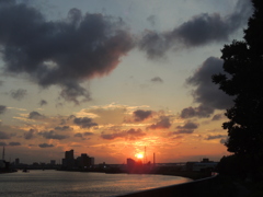 隅田川尾竹橋公園の夕景