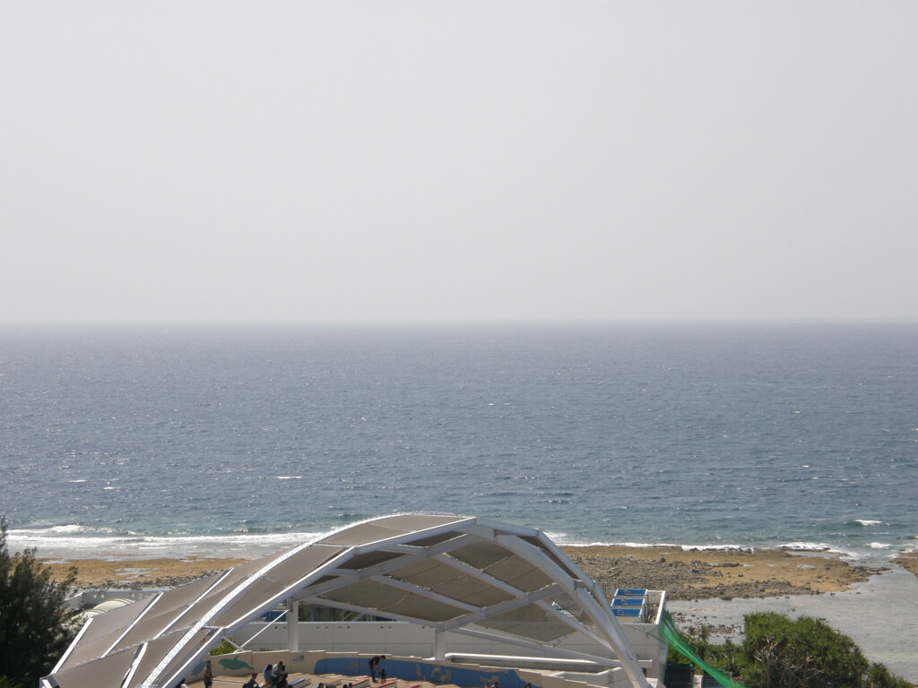 美ら海水族館の屋根から