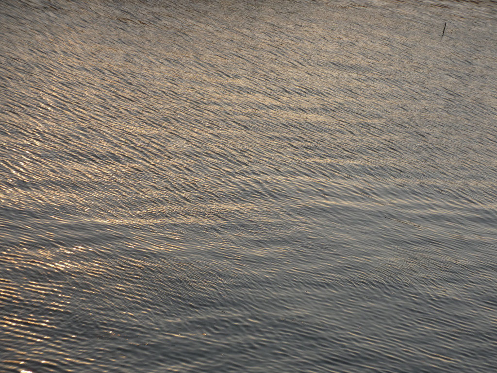 夕方のカラー２