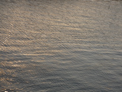 夕方のカラー２