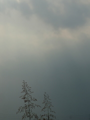 梅雨空