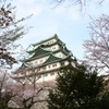 名古屋城を色々な角度でスナップ的に撮ってみた