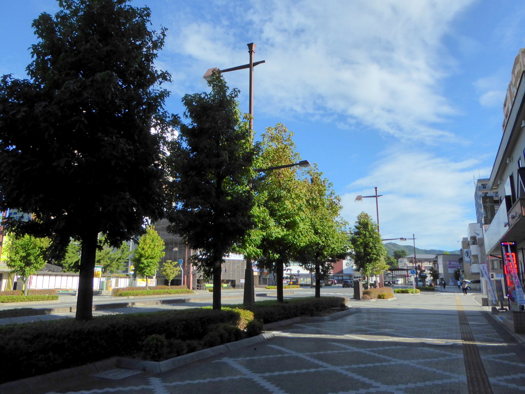 広島の西条駅のモミジバフウの並木と雲