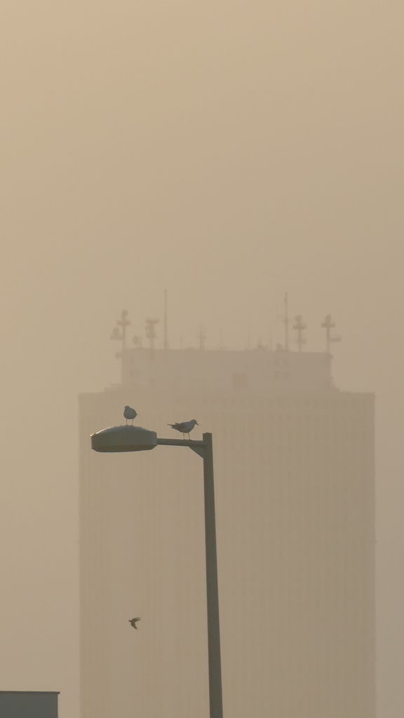 隅田川のサンシャインビルもやで