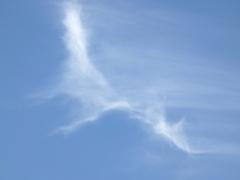 隅田川上空の綺麗な卷雲