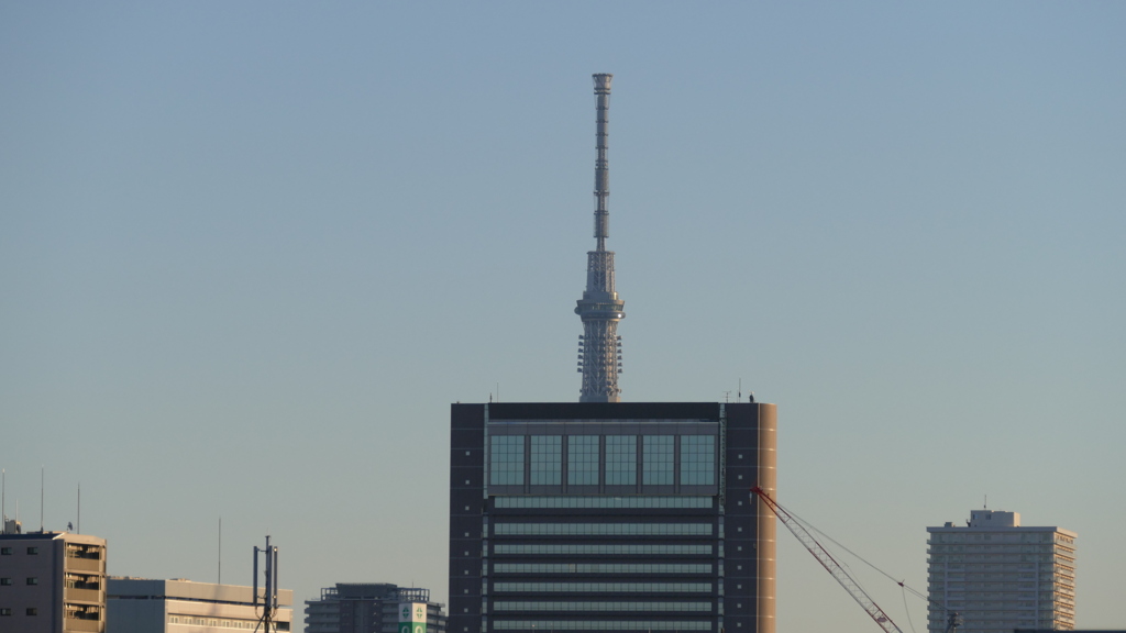 荒川土手から千住芸術センタービル上の東京スカイツリー