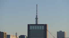 荒川土手から千住芸術センタービル上の東京スカイツリー