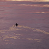 夕方の荒川の水もに