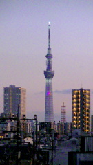 暗くなると楽しい東京スカイツリー