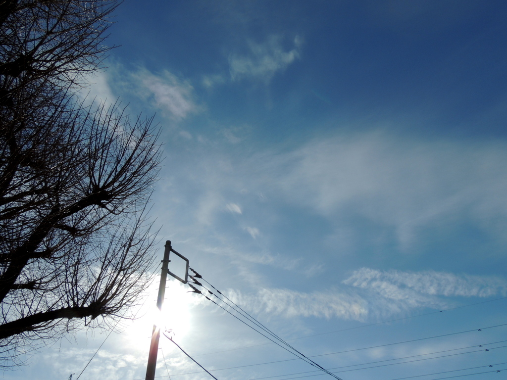 ’２３新春の銀杏稲荷の電線と空