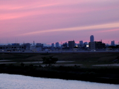 左隅の丸山から右隅の四阿山（あずまやま）が見えています