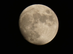 銀座の並木通りで撮った月齢11.7の月