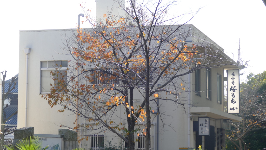 桜餅の元祖元禄創業の老舗