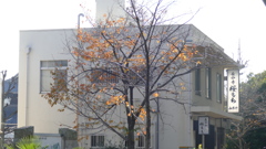 桜餅の元祖元禄創業の老舗